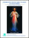 Divine-Mercy-Parish_Guide