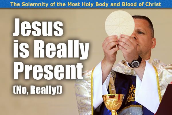 The Miracle That Is The Eucharist The Divine Mercy