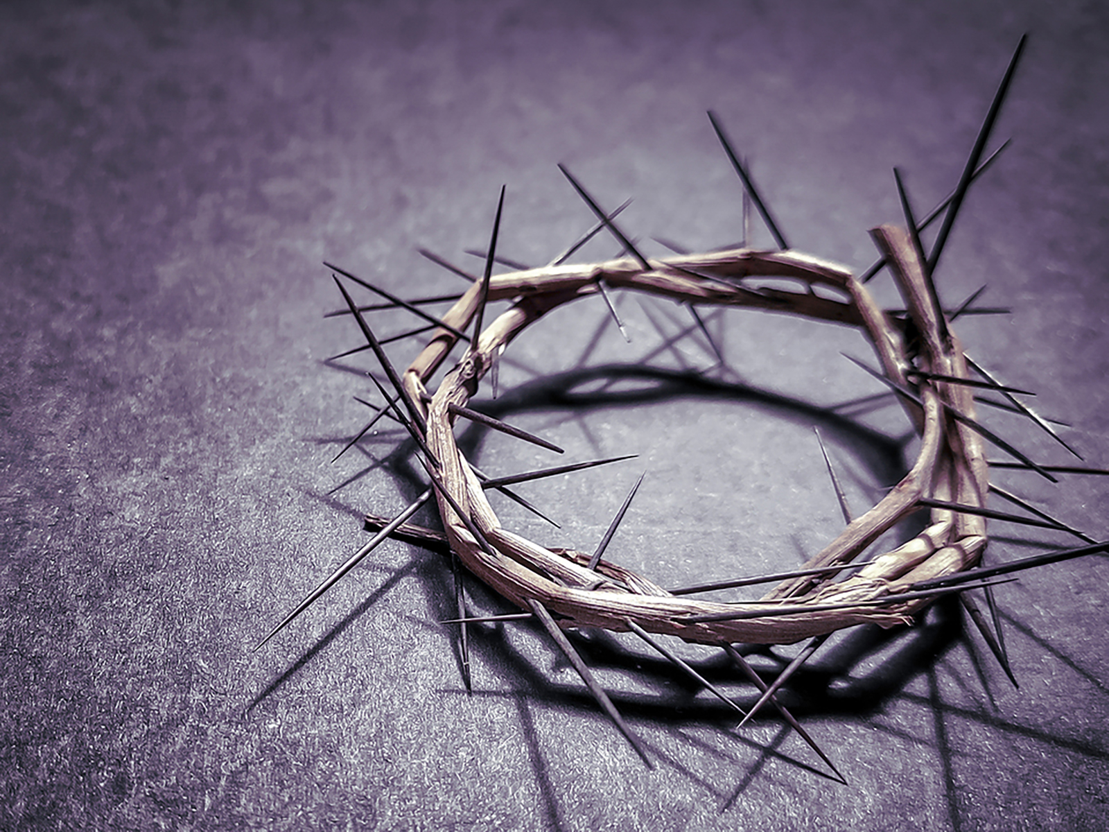 Meet the Moment with Mercy The Divine Mercy