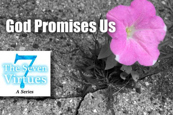 Promises Part 6